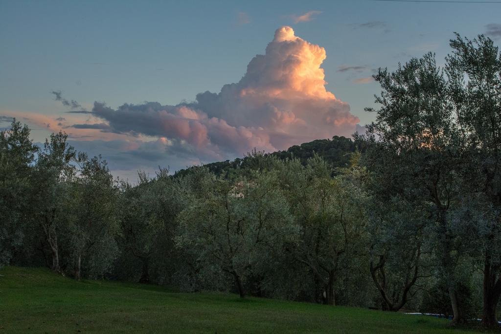 La Sassaia Villa Carmignano Eksteriør bilde