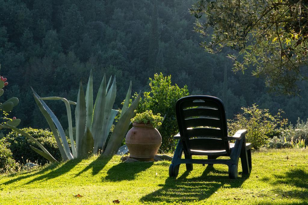 La Sassaia Villa Carmignano Eksteriør bilde