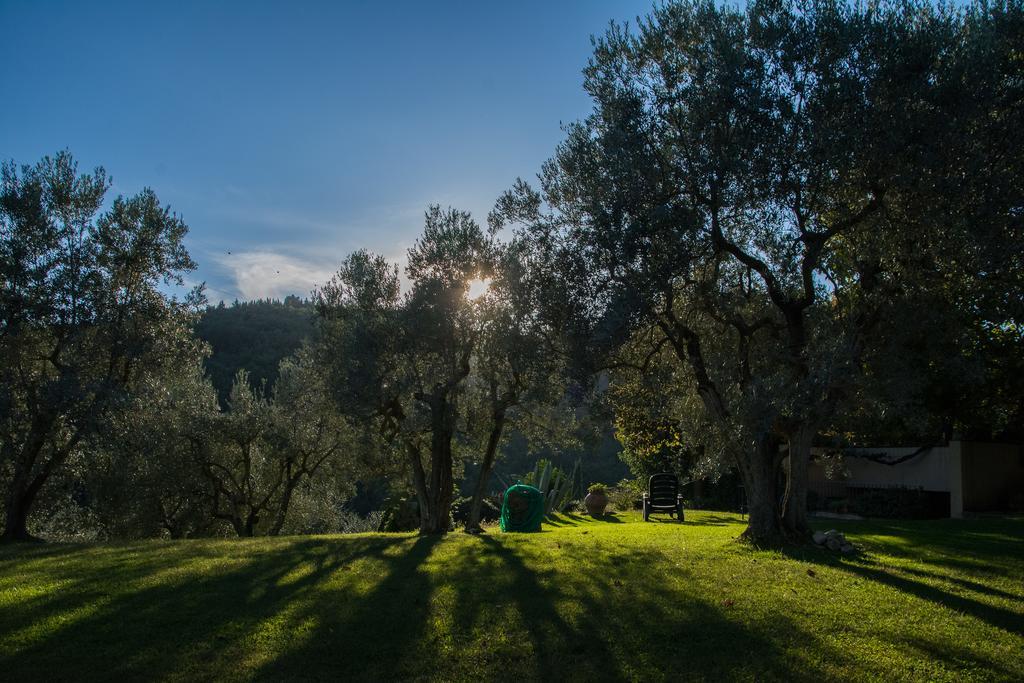 La Sassaia Villa Carmignano Eksteriør bilde