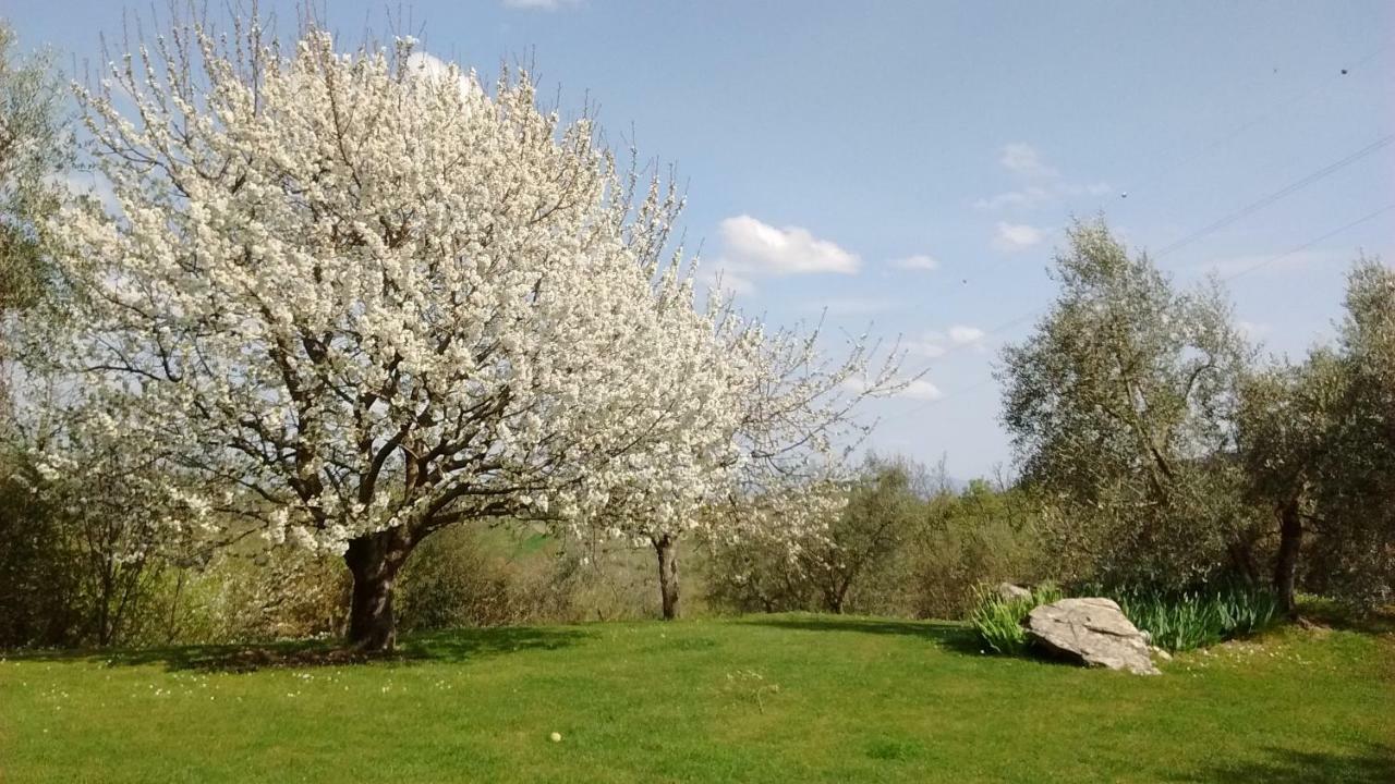 La Sassaia Villa Carmignano Eksteriør bilde